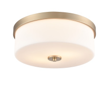 Millennium 214102-MG - Laphia 13.25" Wide 2-Light Flushmount - Modern Gold