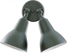 Quorum 690-2-15 - 2LT PAR LAMP FLOODLGT-BK